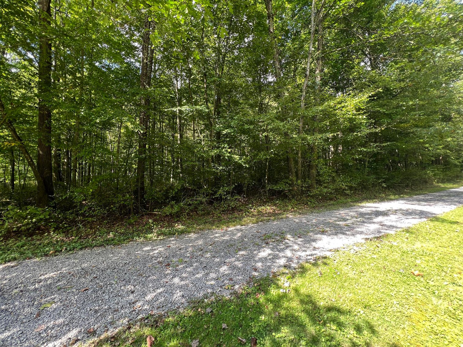 Image for SOLD $132,000 - 121 Acres in Wyoming County Selling to the Highest Bidder