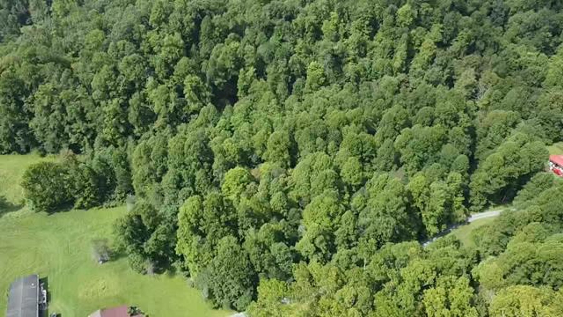 Image for SOLD $132,000 - 121 Acres in Wyoming County Selling to the Highest Bidder