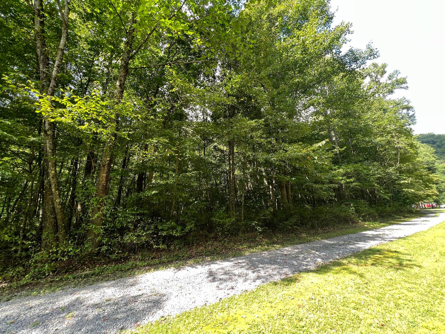 Image for SOLD $132,000 - 121 Acres in Wyoming County Selling to the Highest Bidder