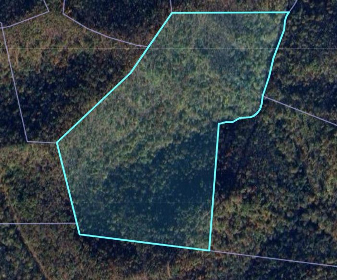 Image for SOLD - Over 1,200 Acres in Boone County Offered in Parcels