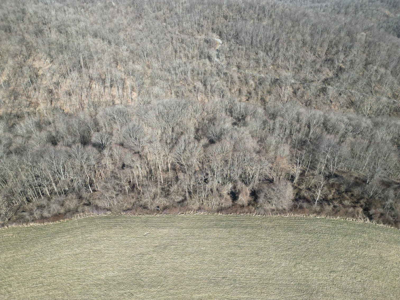 Image for SOLD $220,000 - 81 Acres in Marshall County