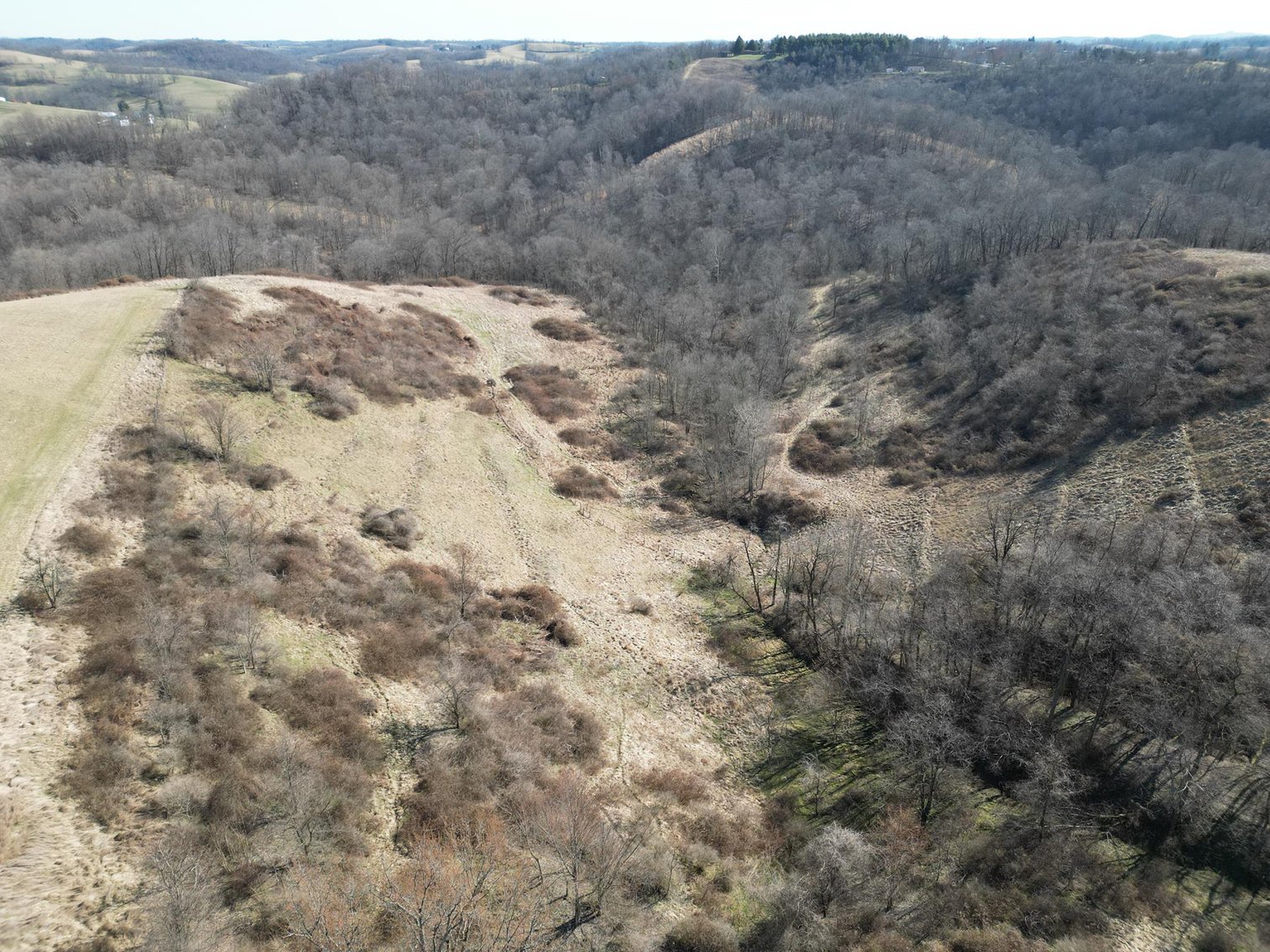 Image for SOLD $220,000 - 81 Acres in Marshall County