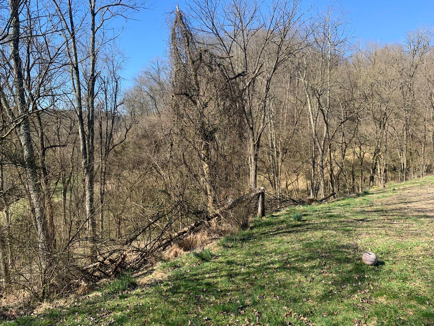 Image for SOLD $20,625 - 2.36 Acres Selling to the Highest Bidder