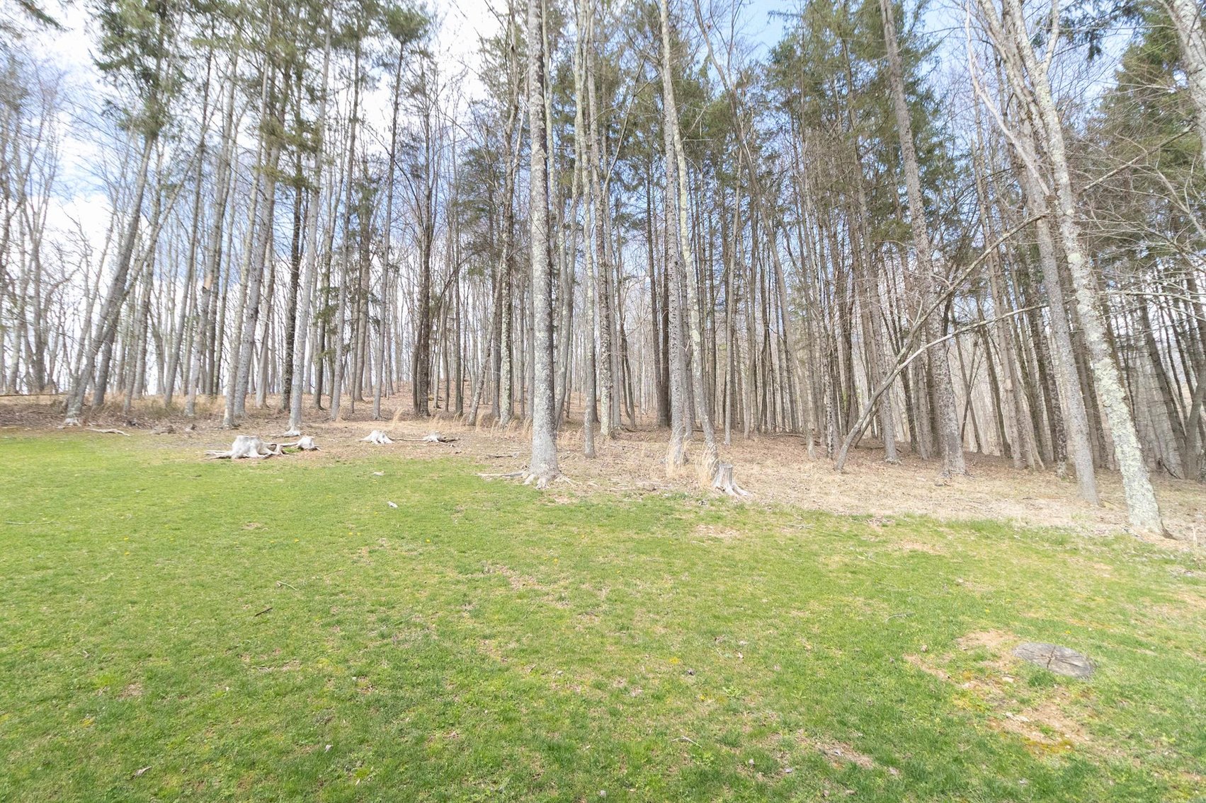 Image for SOLD $345,000 - 4 Bedroom Home with Shop on 9.4 Acres