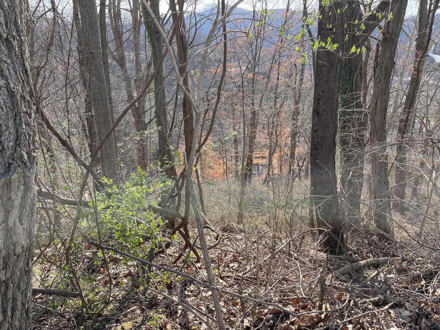 Image for SOLD $75,900 - Updated 3 Bedroom in Charleston