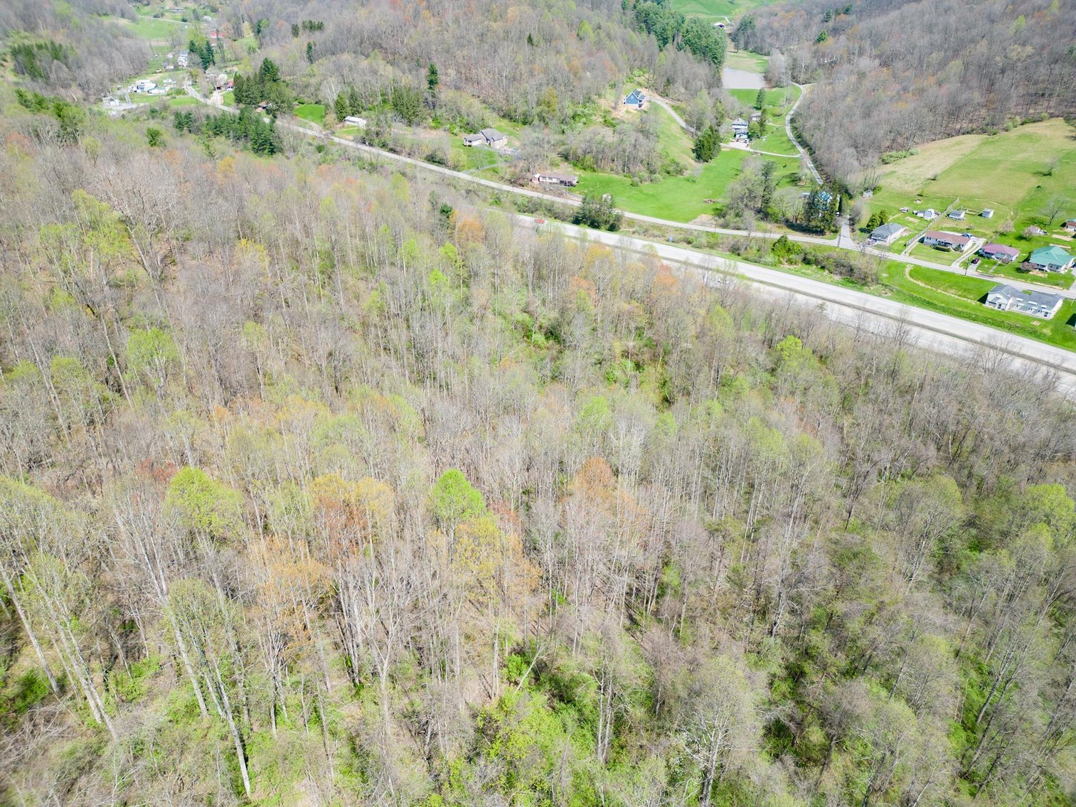 Image for SOLD $100,100 - 68 Acres with Timber Adjacent to Salem University