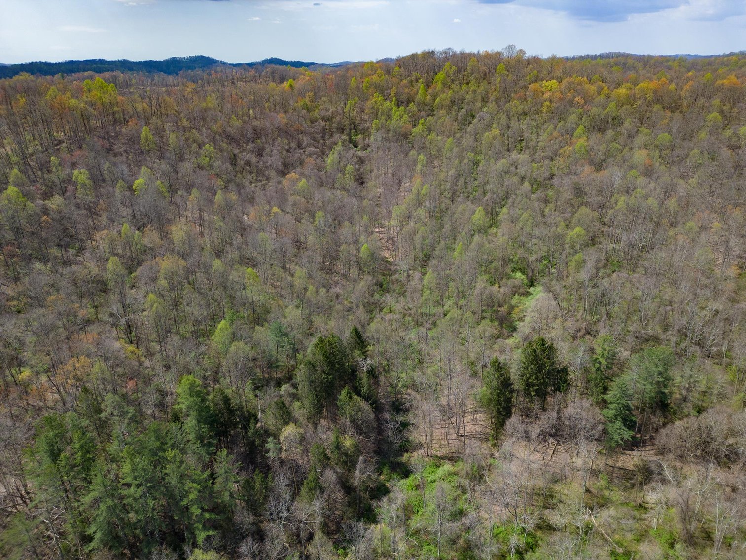 Image for SOLD $100,100 - 68 Acres with Timber Adjacent to Salem University
