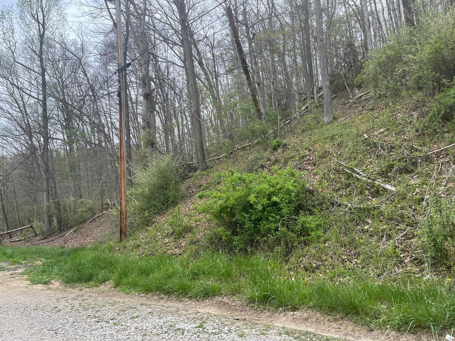 Image for SOLD $75,900 - Updated 3 Bedroom in Charleston