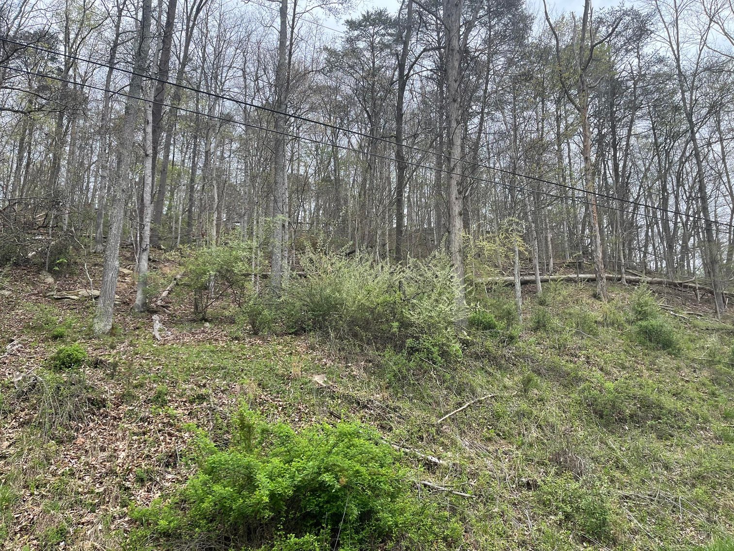 Image for SOLD $75,900 - Updated 3 Bedroom in Charleston