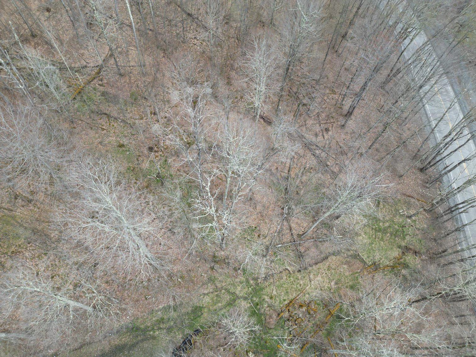 Image for SOLD - 6 Lots in the Northpoint Subdivision Near Canaan & Timberline