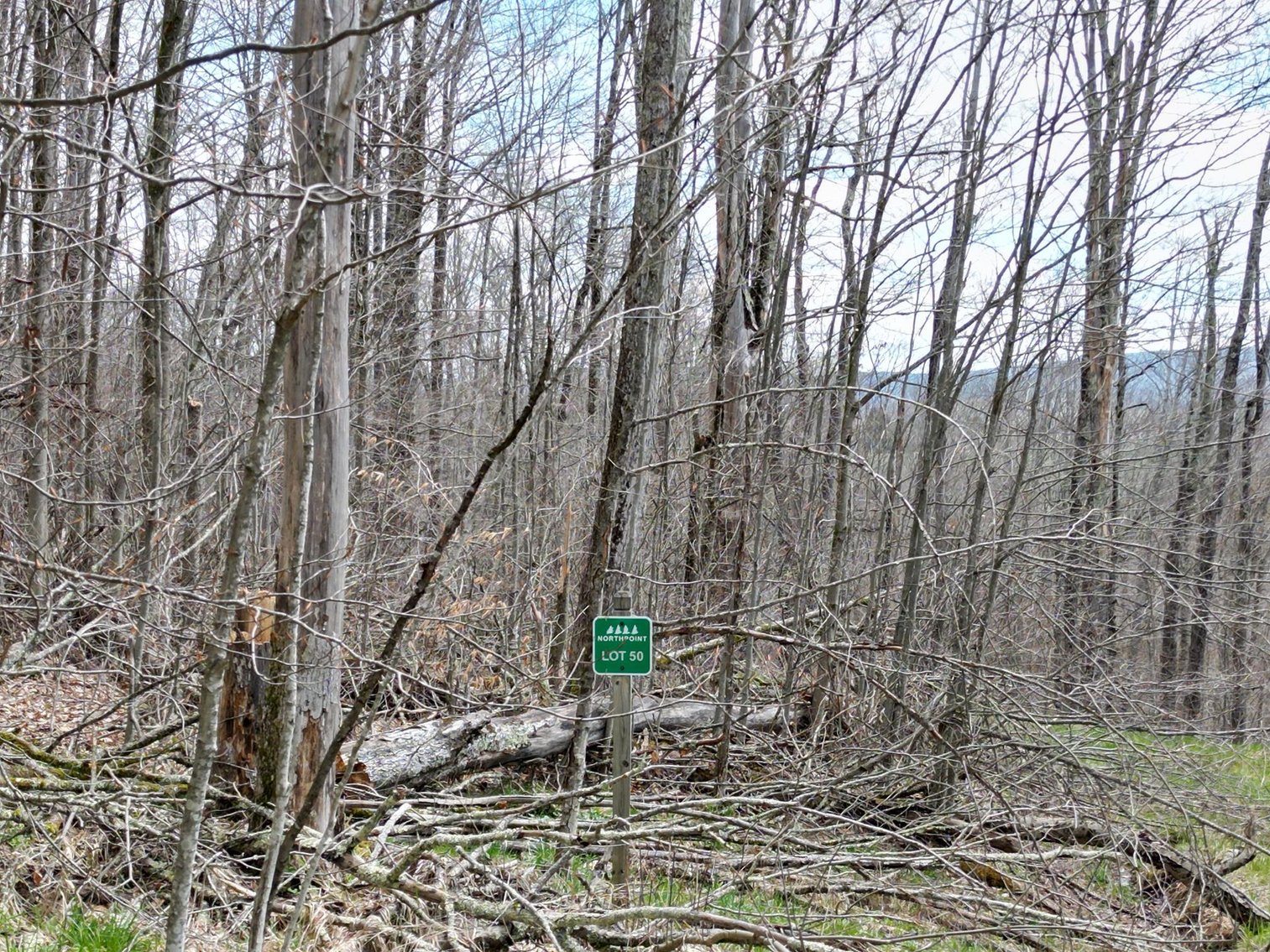 Image for SOLD - 6 Lots in the Northpoint Subdivision Near Canaan & Timberline