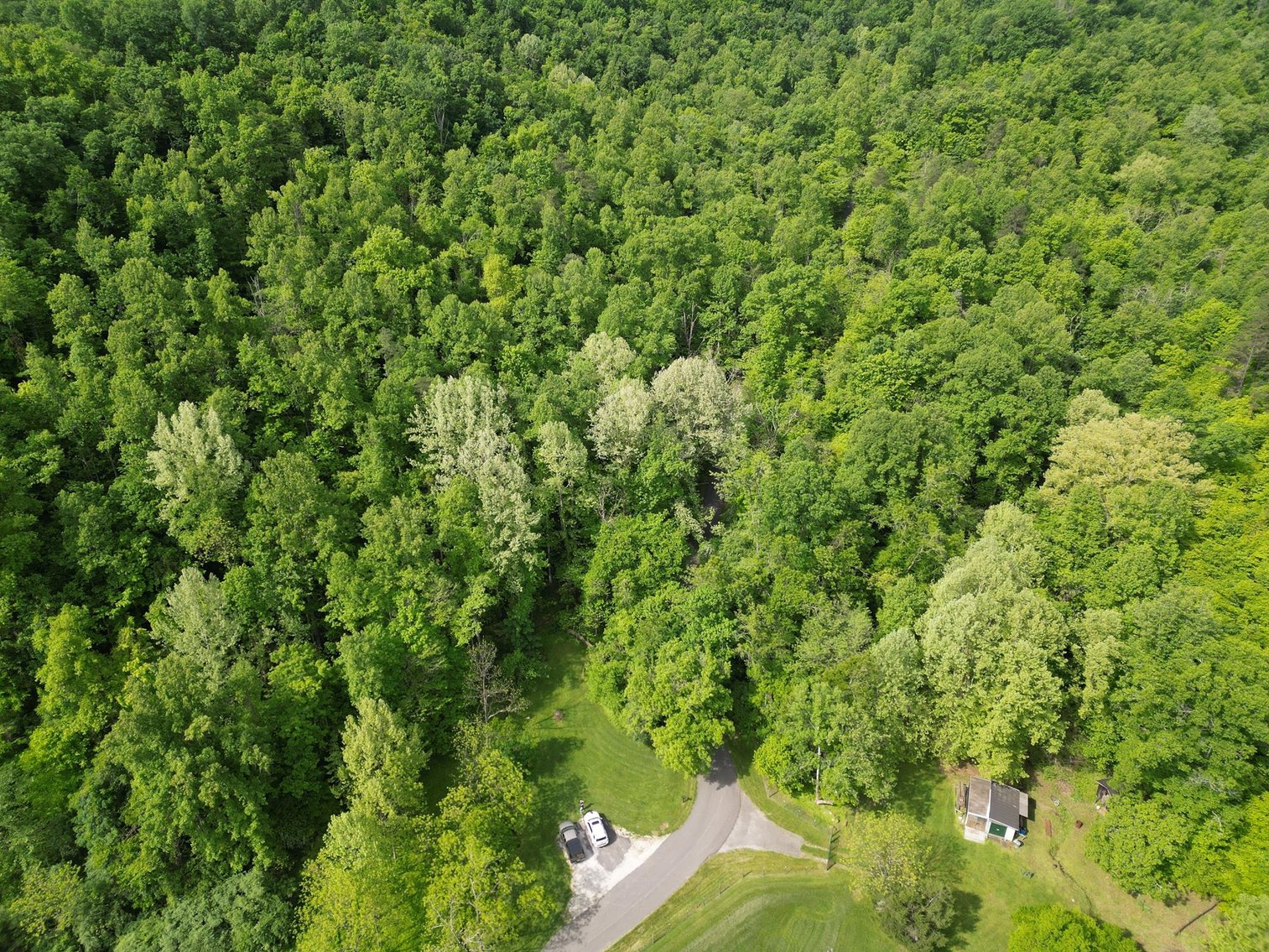 Image for SOLD $167,750 - 116 Beautiful Acres in Cabell County with Easy Access