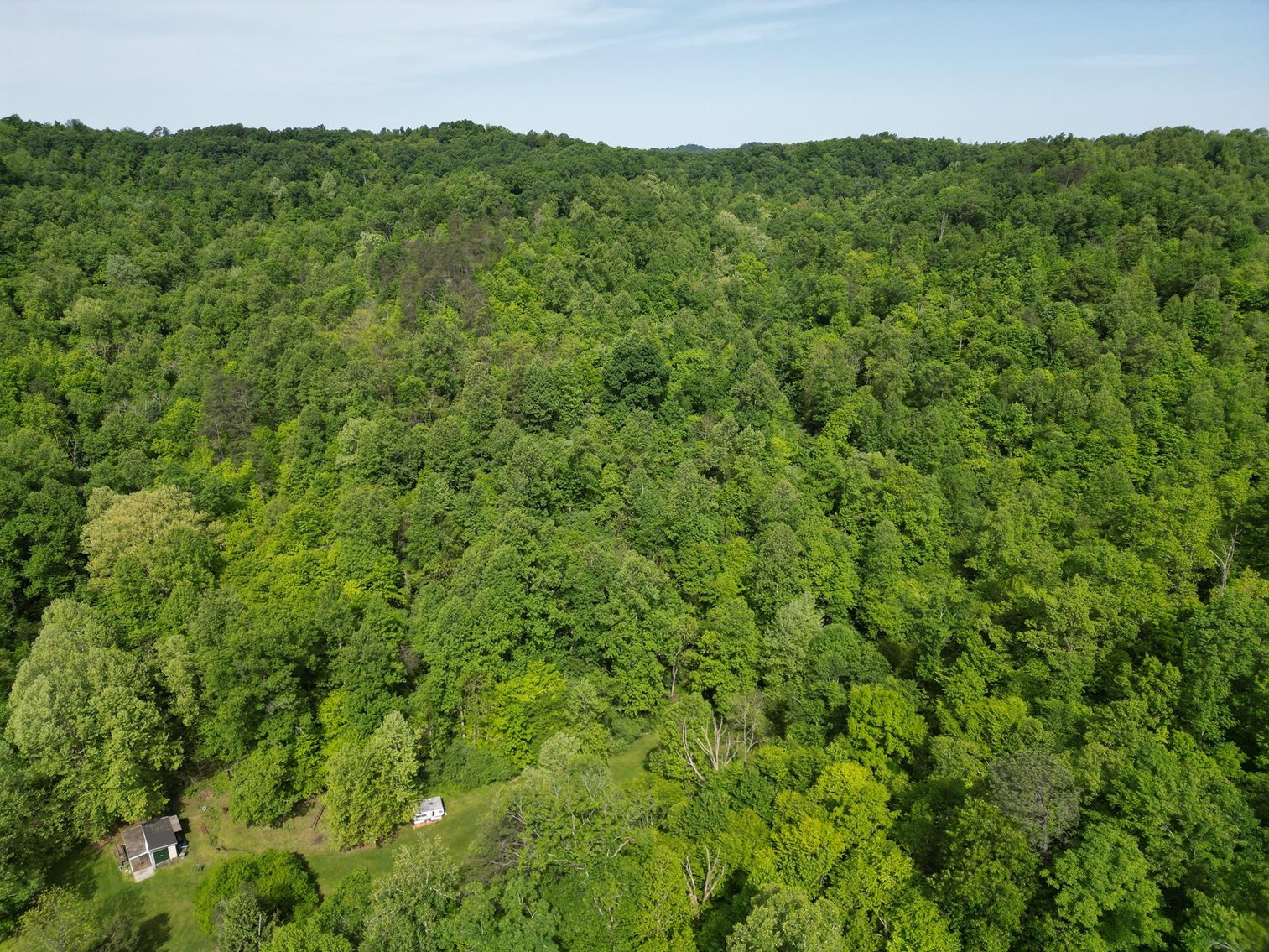 Image for SOLD $167,750 - 116 Beautiful Acres in Cabell County with Easy Access