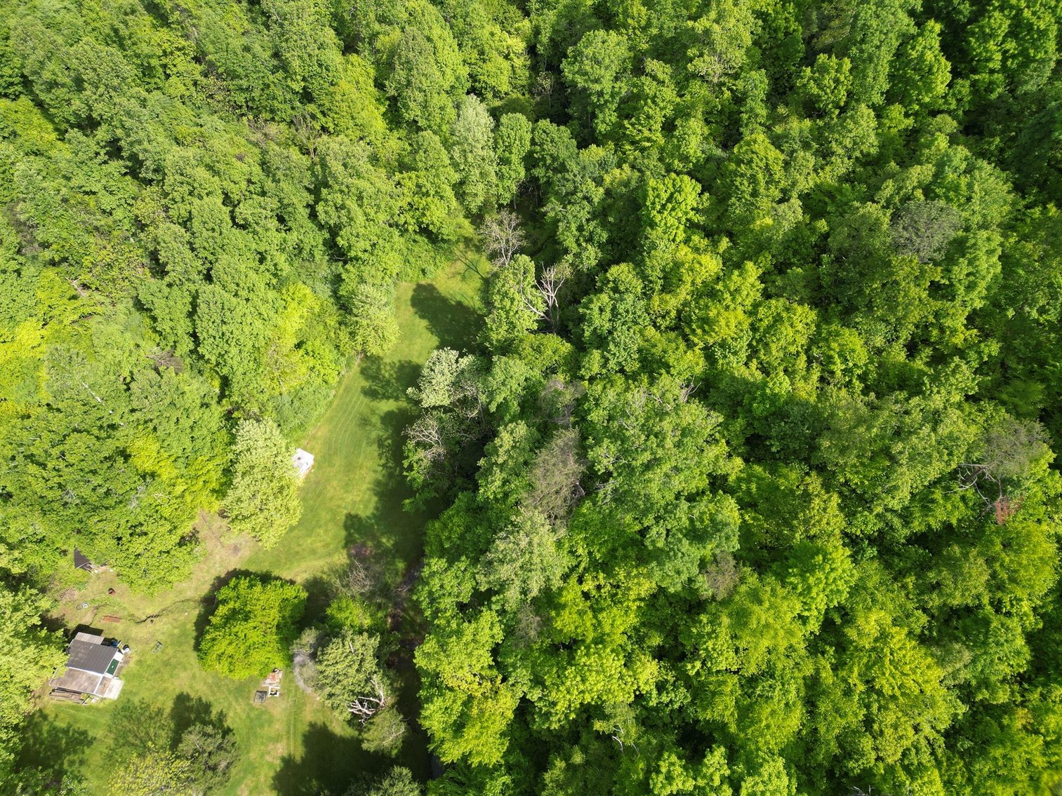 Image for SOLD $167,750 - 116 Beautiful Acres in Cabell County with Easy Access