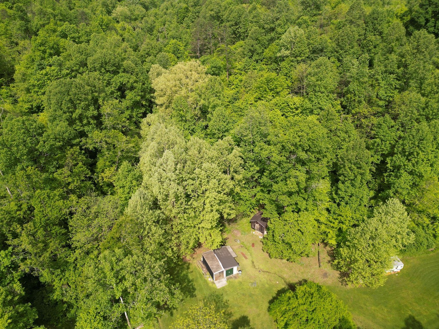 Image for SOLD $167,750 - 116 Beautiful Acres in Cabell County with Easy Access