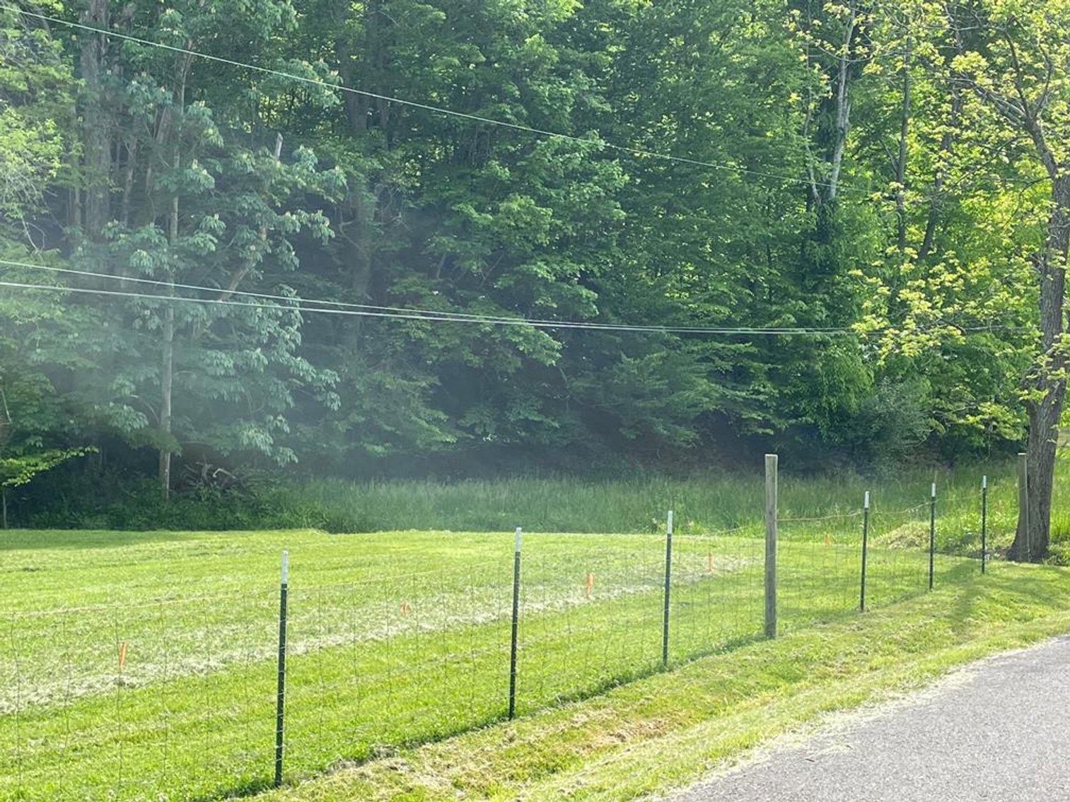 Image for SOLD $167,750 - 116 Beautiful Acres in Cabell County with Easy Access