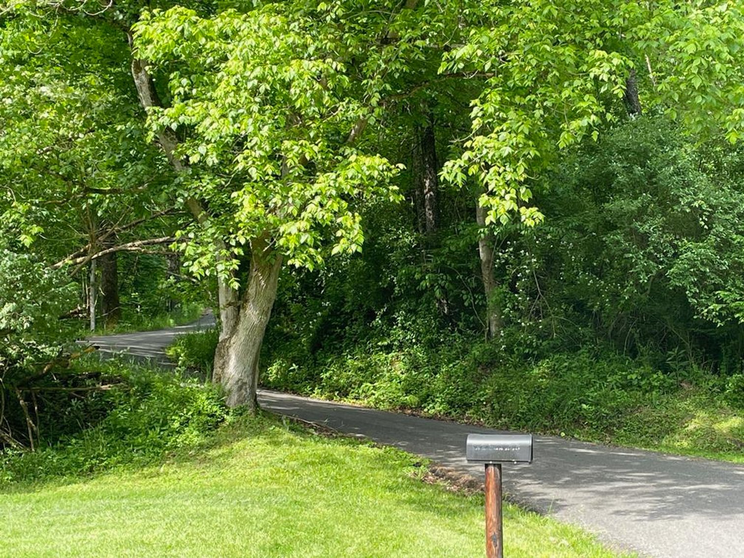 Image for SOLD $167,750 - 116 Beautiful Acres in Cabell County with Easy Access