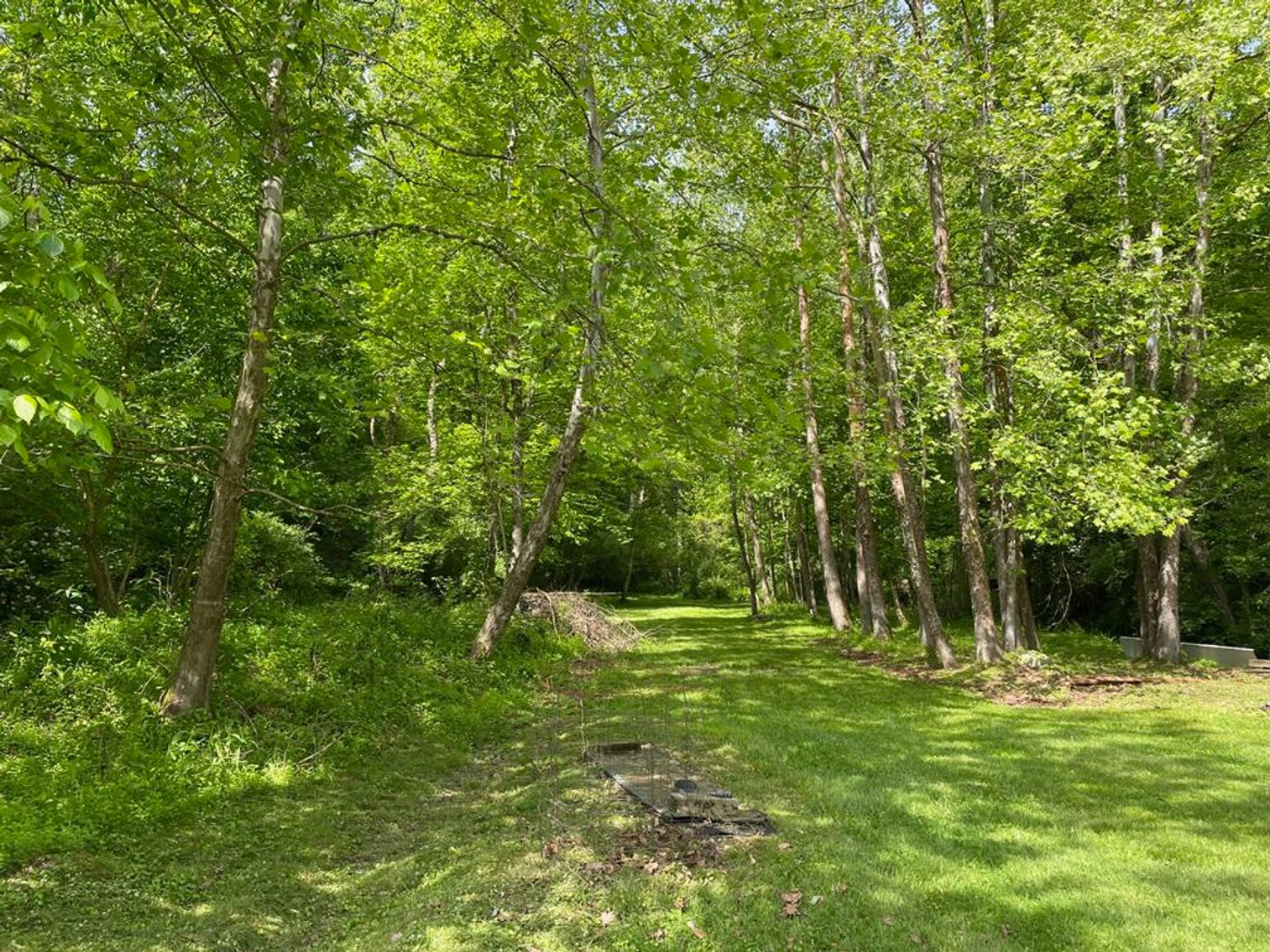 Image for SOLD $167,750 - 116 Beautiful Acres in Cabell County with Easy Access