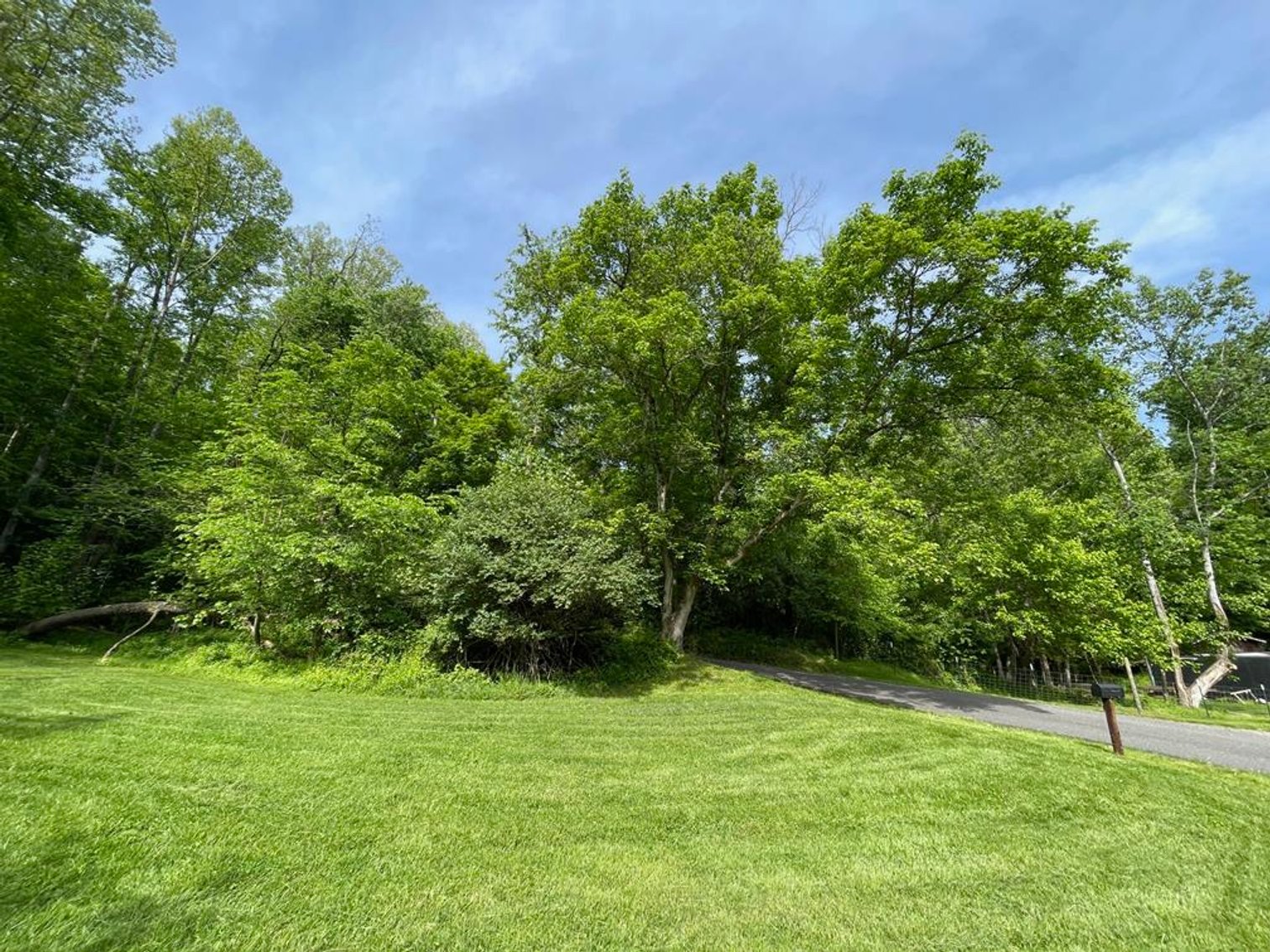 Image for SOLD $167,750 - 116 Beautiful Acres in Cabell County with Easy Access