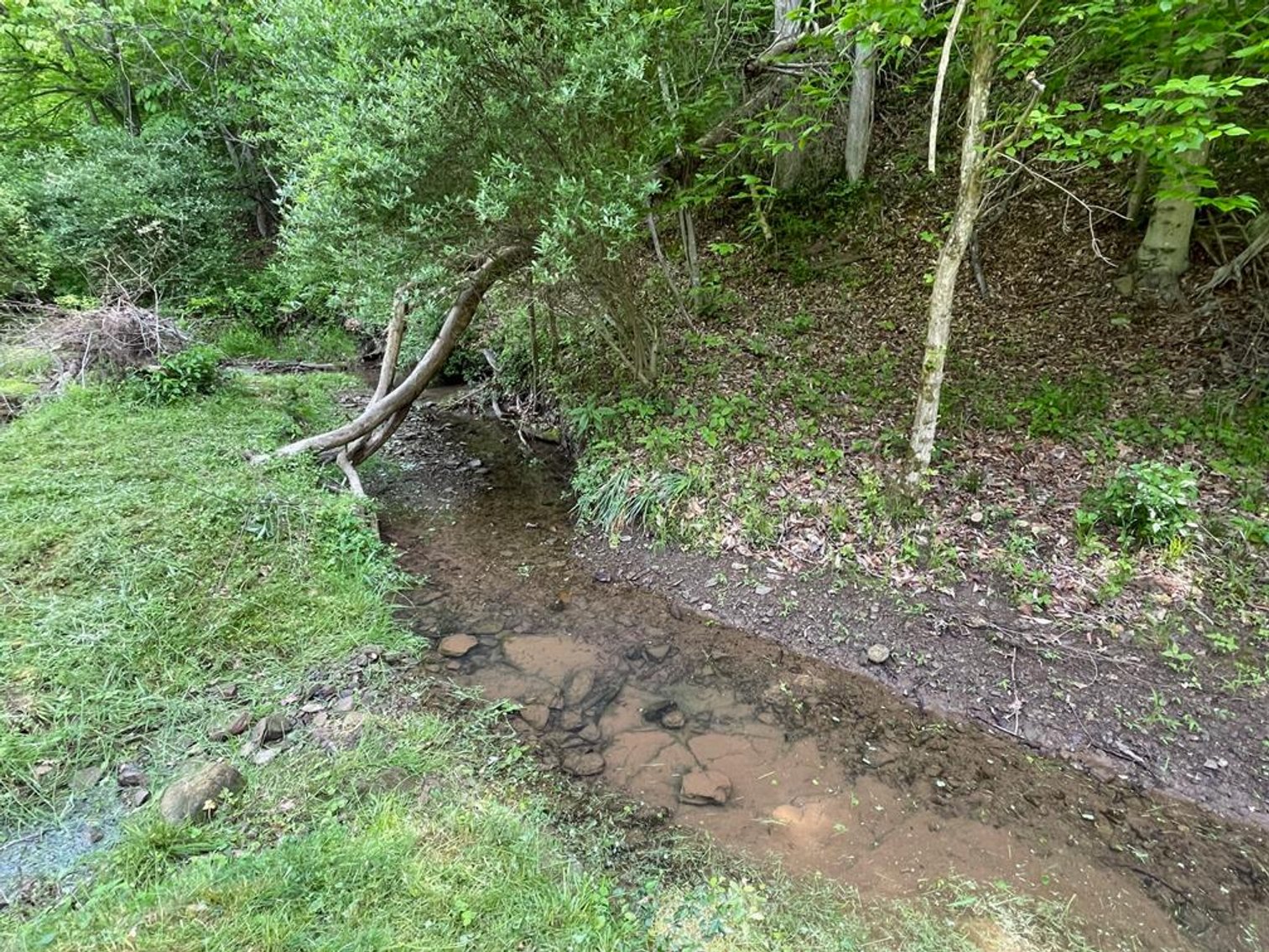 Image for SOLD $167,750 - 116 Beautiful Acres in Cabell County with Easy Access