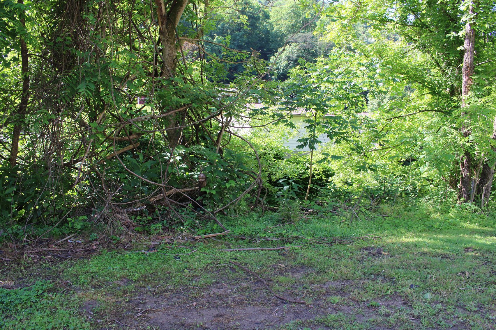 Image for SOLD $60,500 - 3 Bedroom Home in Charleston