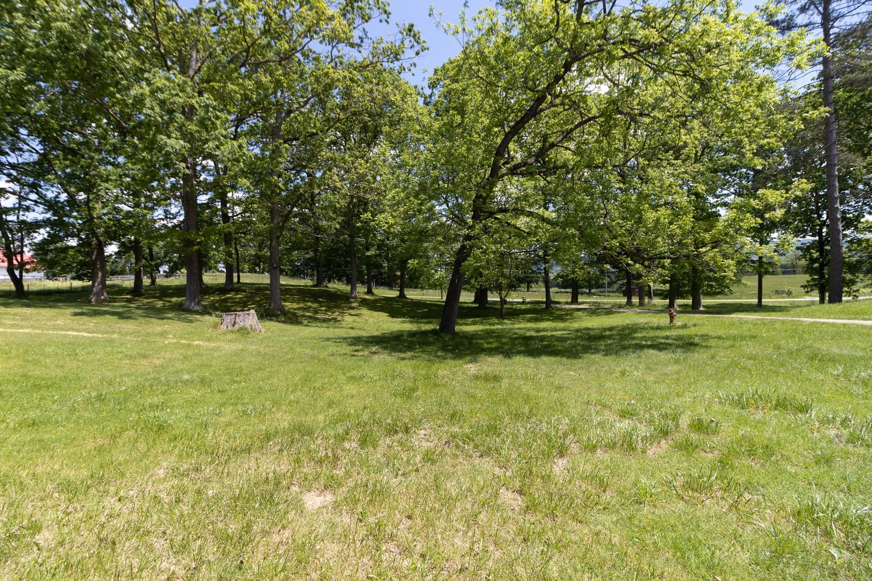 Image for SOLD $550,000 - The Historic Odd Fellows Home of Elkins Selling to the Highest Bidder