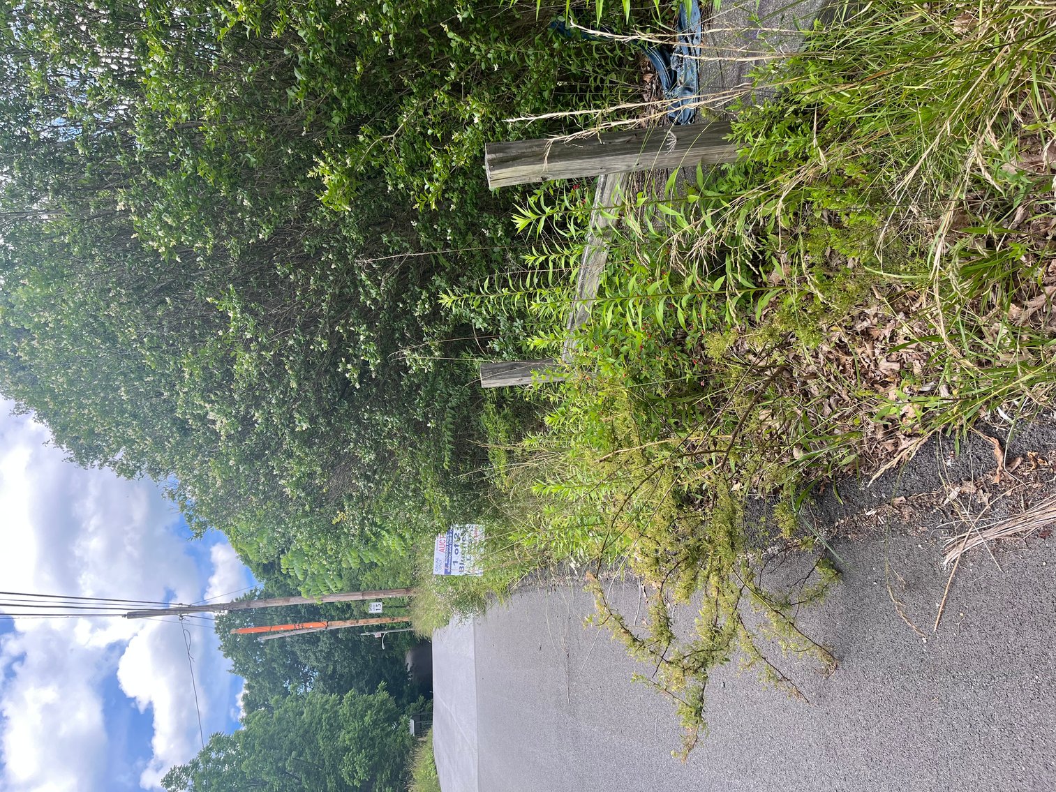 Image for SOLD -  Lot in Bluefield Selling to the Highest Bidder