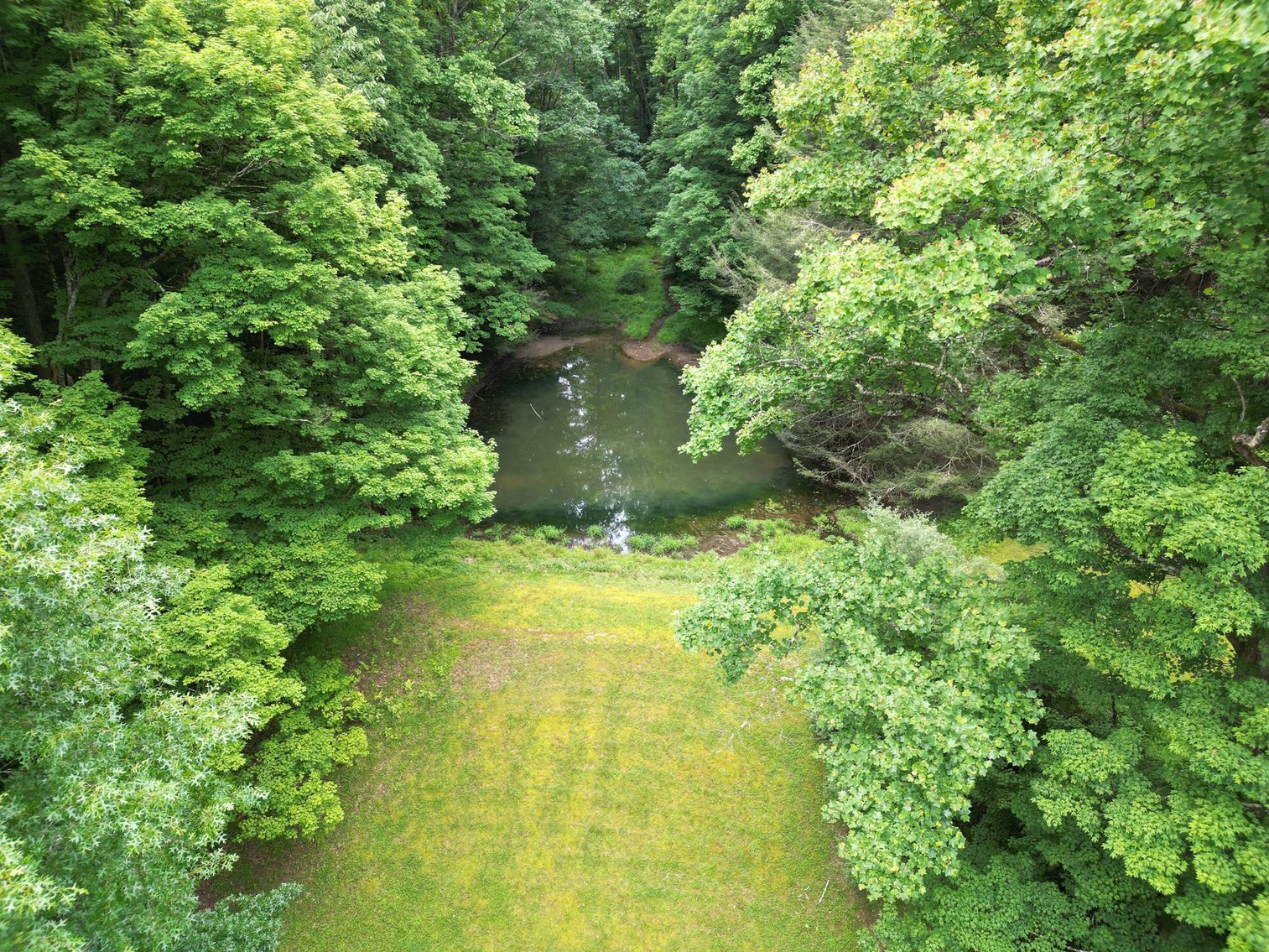 Image for SOLD $209,000 - Remodeled 1800s Log Cabin on 22 Acres in Harrison County