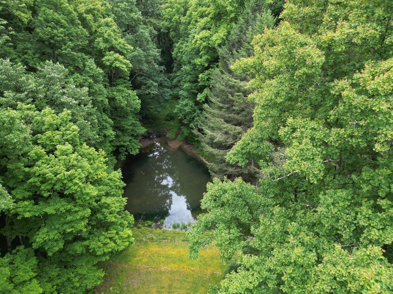 Image for SOLD $209,000 - Remodeled 1800s Log Cabin on 22 Acres in Harrison County