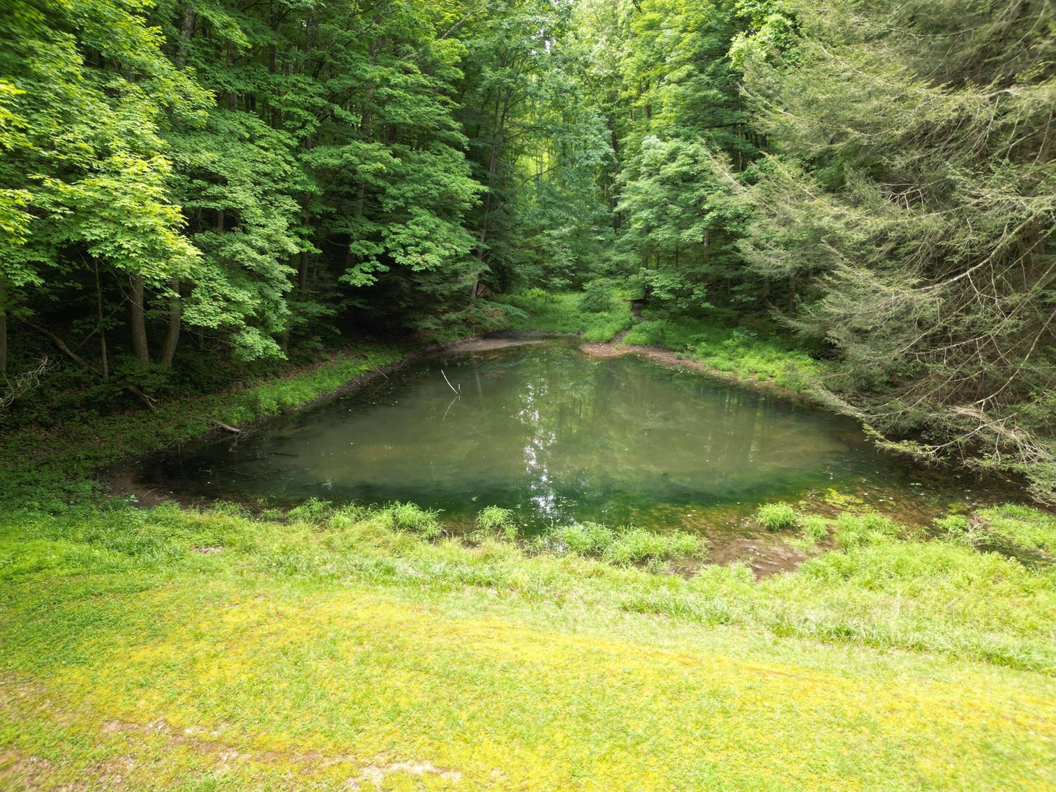 Image for SOLD $209,000 - Remodeled 1800s Log Cabin on 22 Acres in Harrison County