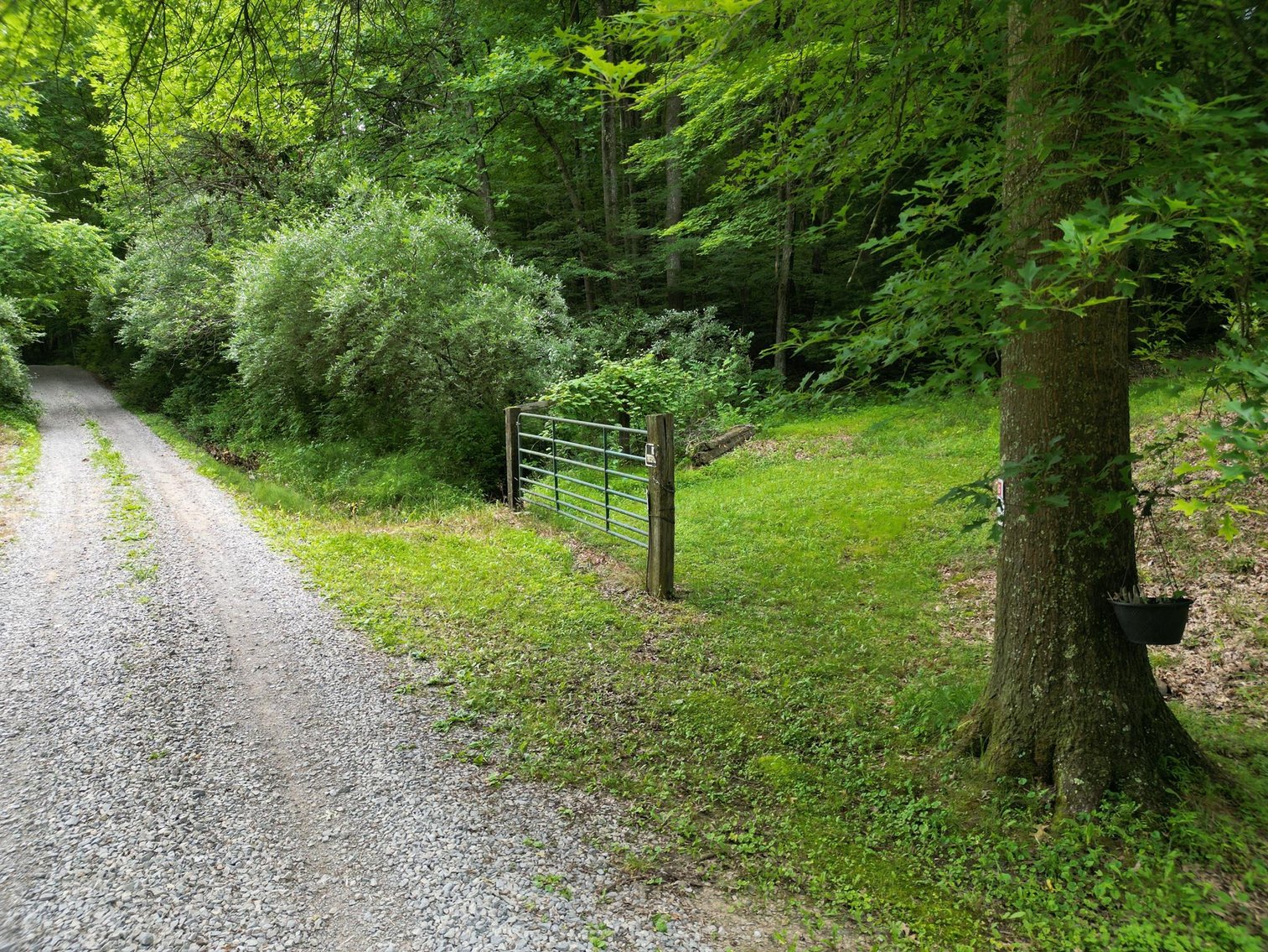 Image for SOLD $209,000 - Remodeled 1800s Log Cabin on 22 Acres in Harrison County