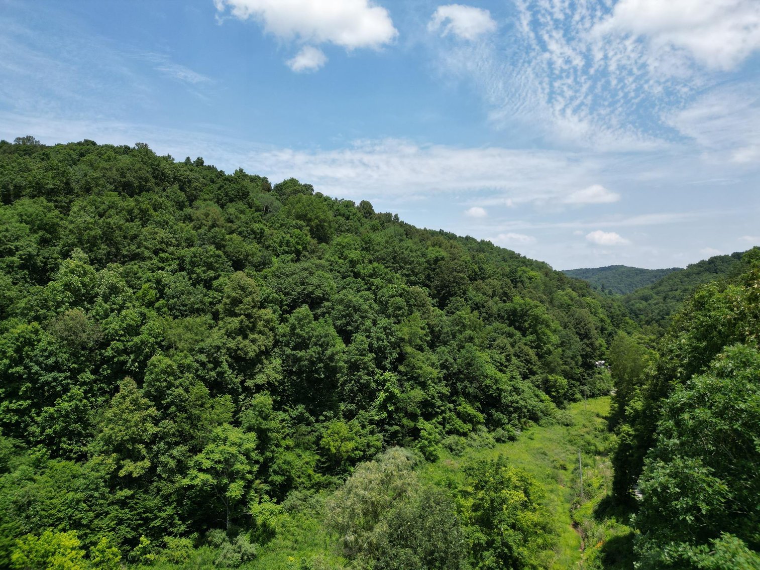 Image for SOLD $66,000 - 43 Acres in Marion County Selling to the Highest Bidder