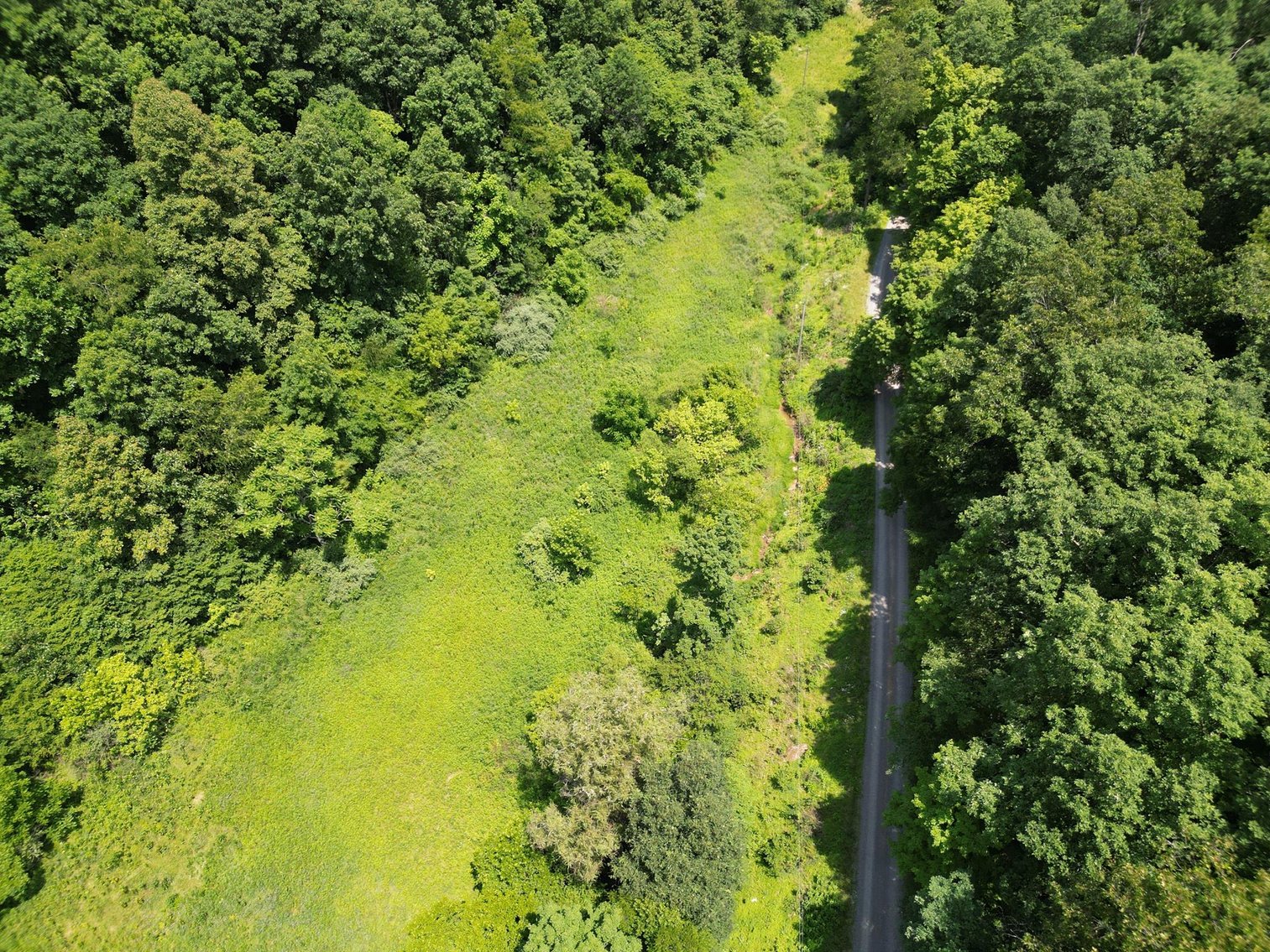 Image for SOLD $66,000 - 43 Acres in Marion County Selling to the Highest Bidder