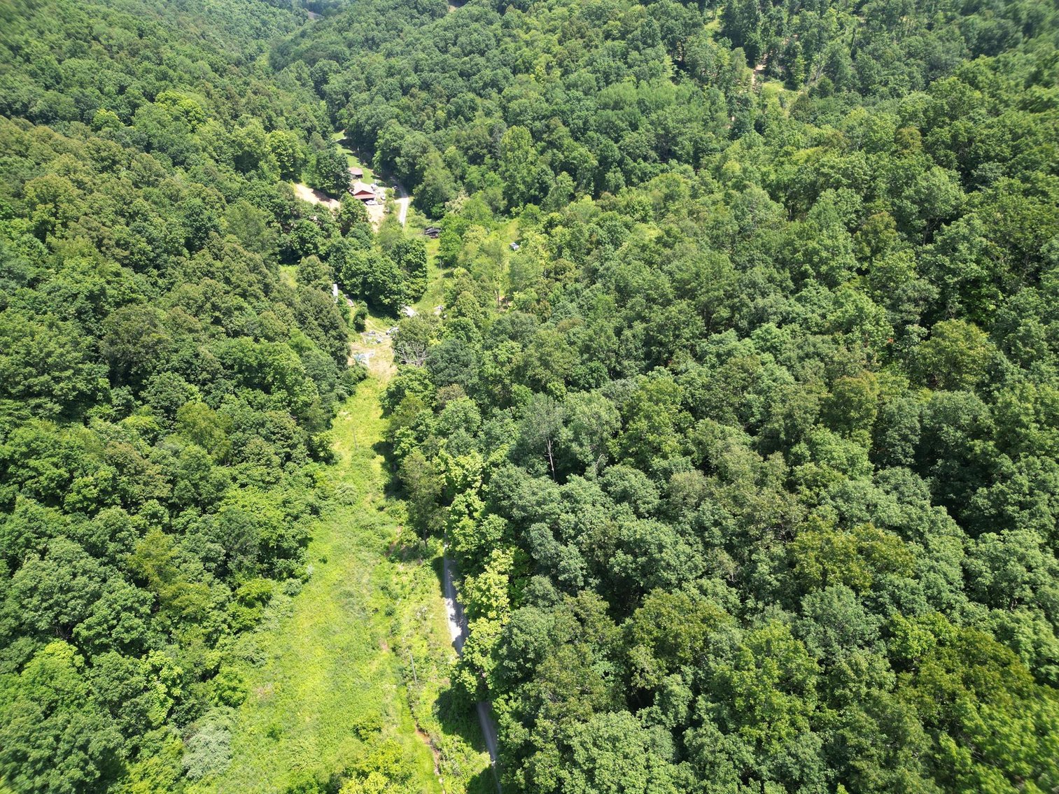 Image for SOLD $66,000 - 43 Acres in Marion County Selling to the Highest Bidder