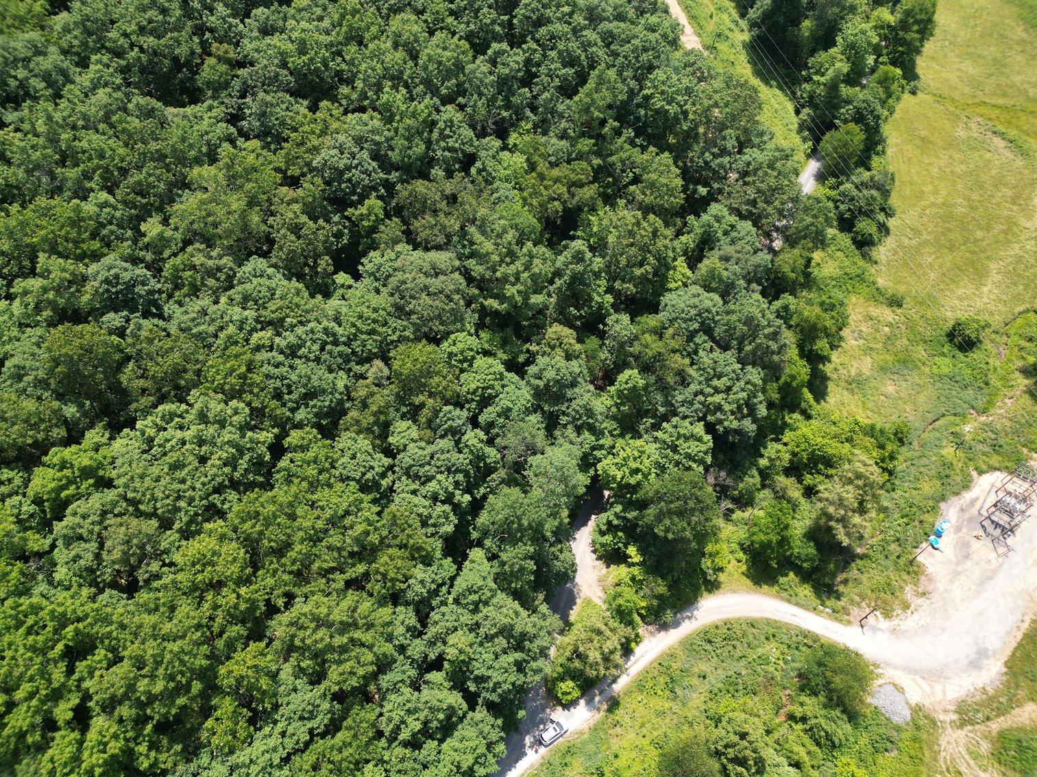 Image for SOLD $66,000 - 43 Acres in Marion County Selling to the Highest Bidder