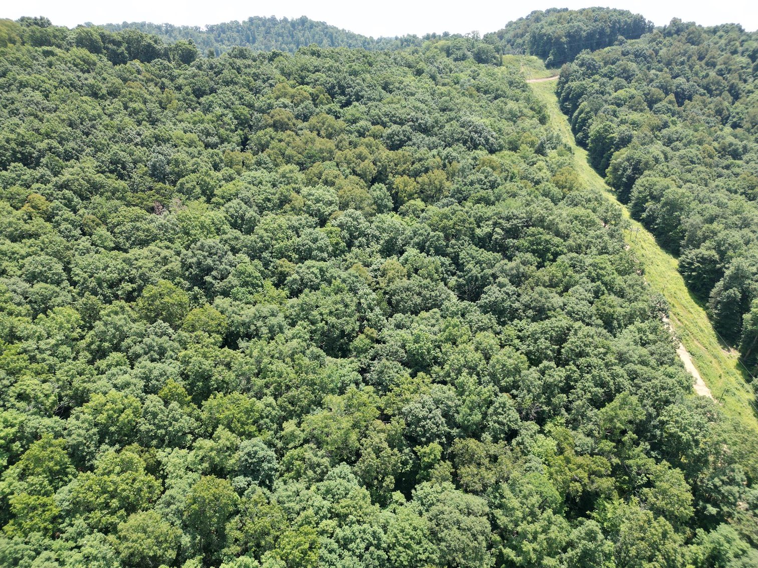 Image for SOLD $66,000 - 43 Acres in Marion County Selling to the Highest Bidder