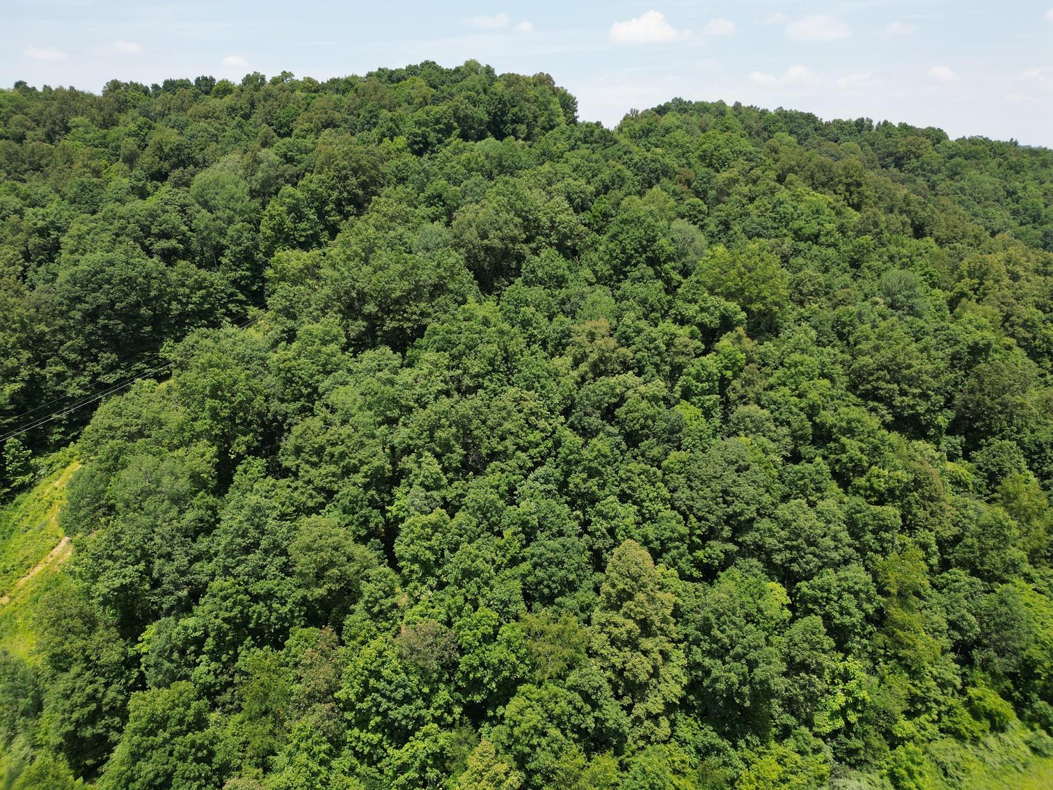 Image for SOLD $66,000 - 43 Acres in Marion County Selling to the Highest Bidder