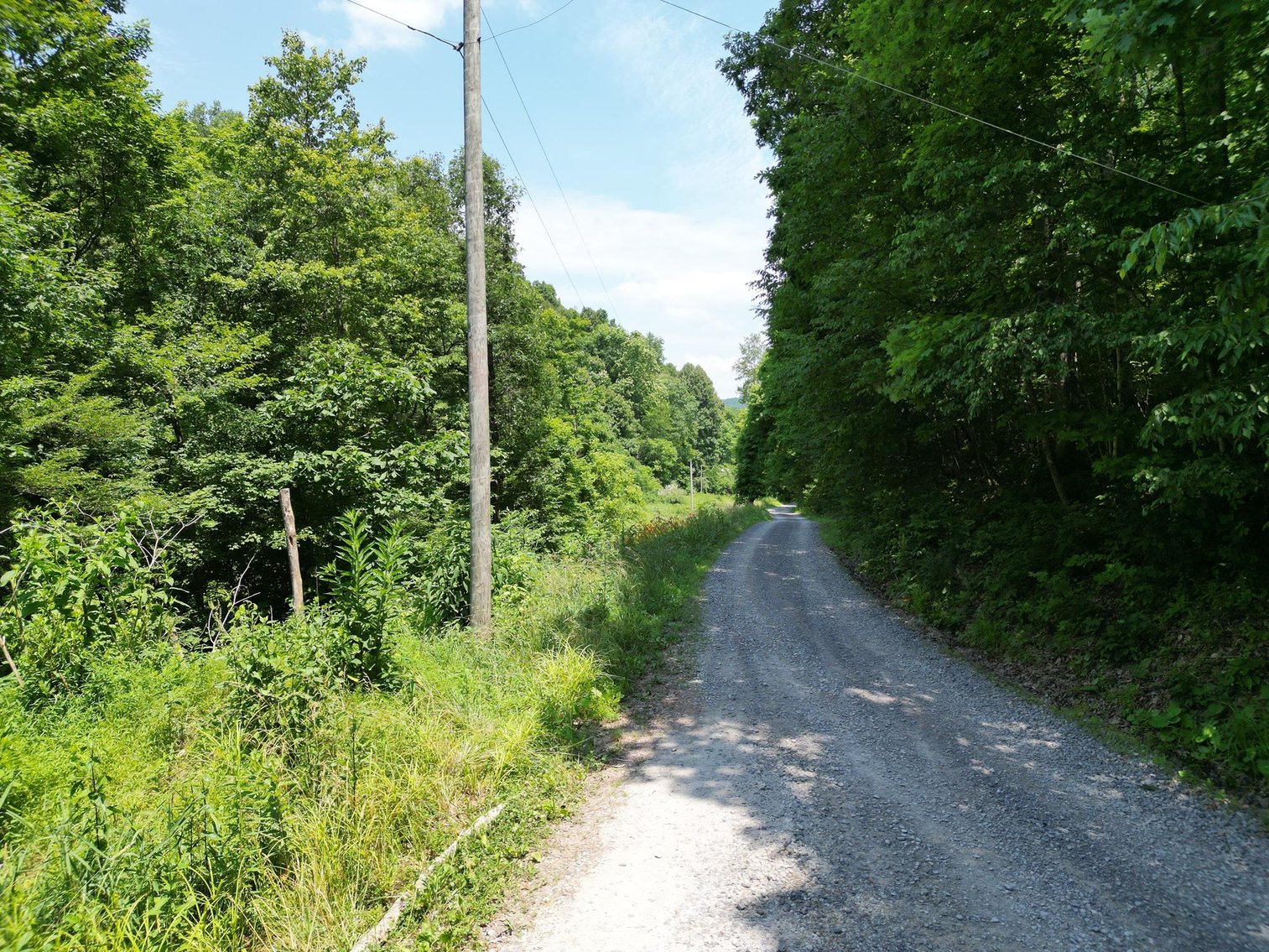 Image for SOLD $66,000 - 43 Acres in Marion County Selling to the Highest Bidder