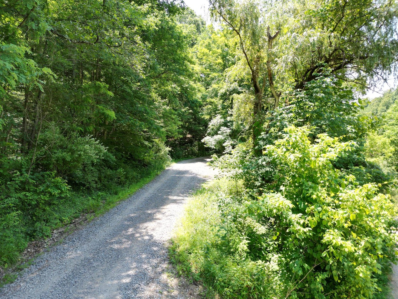 Image for SOLD $66,000 - 43 Acres in Marion County Selling to the Highest Bidder