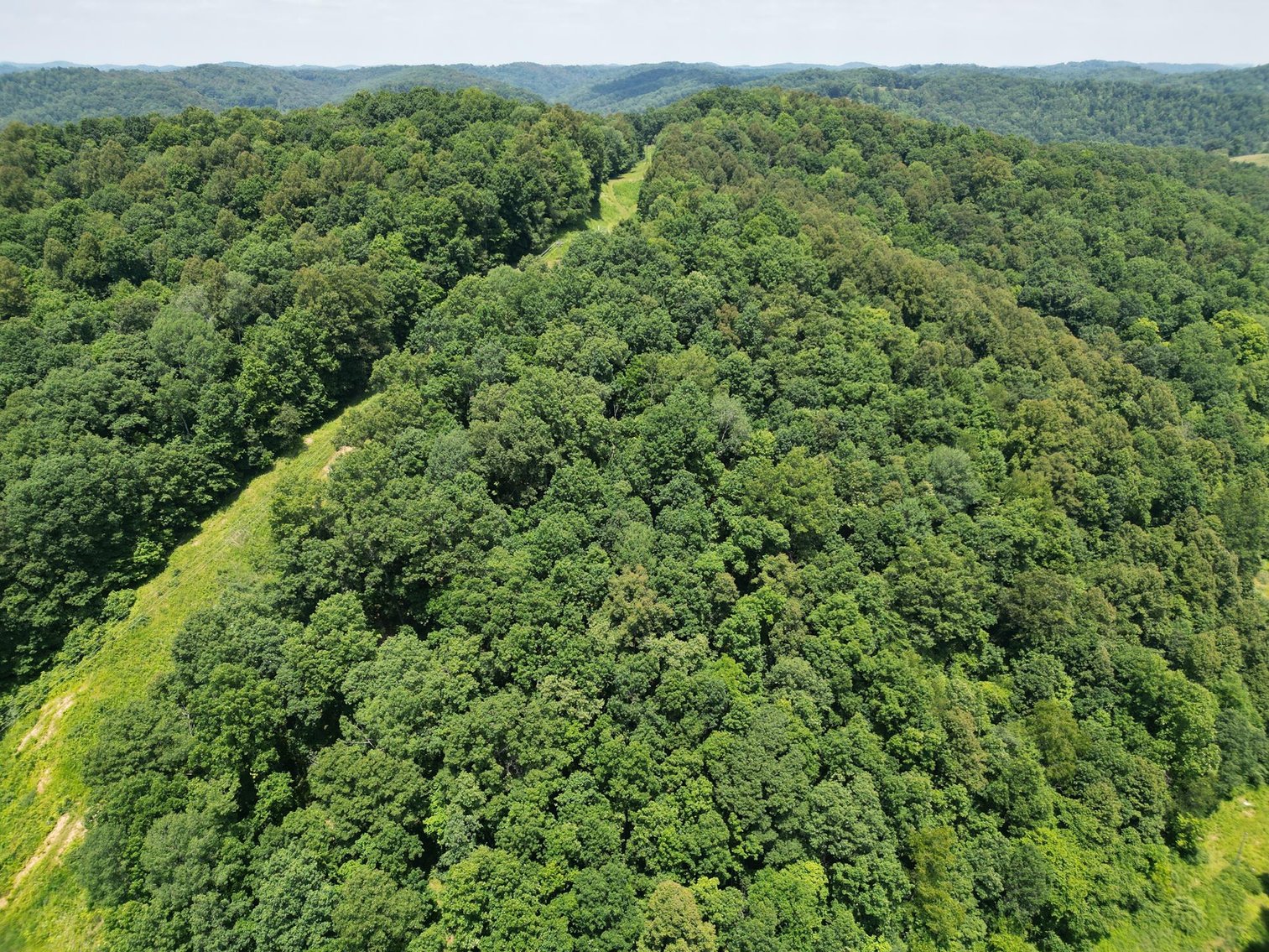 Image for SOLD $66,000 - 43 Acres in Marion County Selling to the Highest Bidder