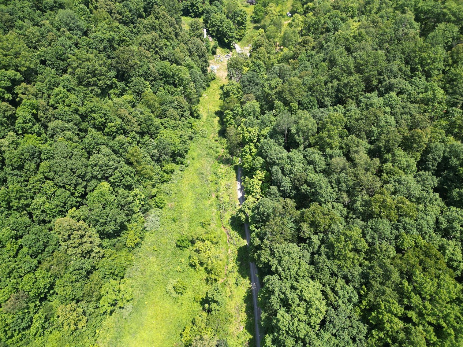 Image for SOLD $66,000 - 43 Acres in Marion County Selling to the Highest Bidder