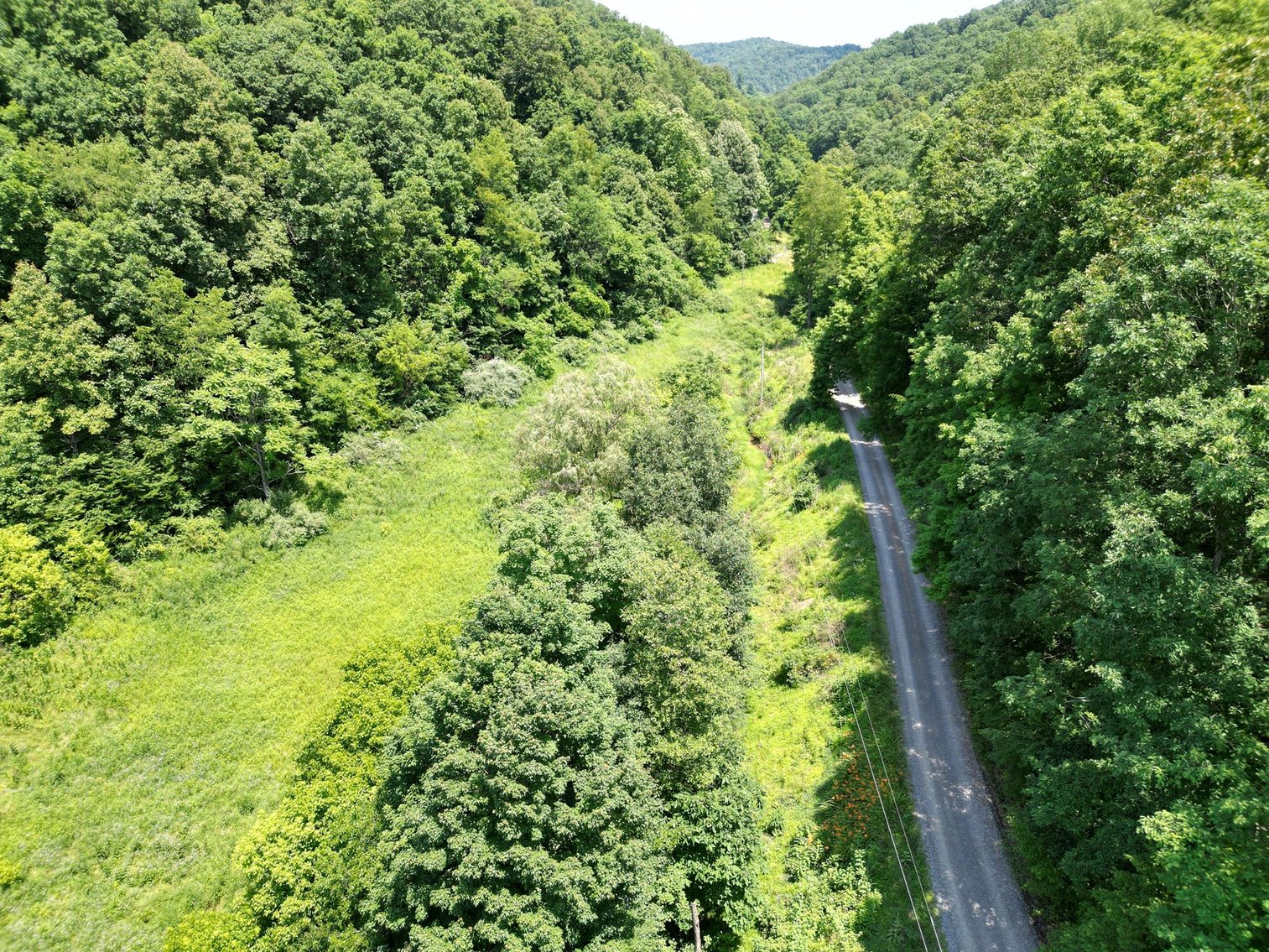 Image for SOLD $66,000 - 43 Acres in Marion County Selling to the Highest Bidder