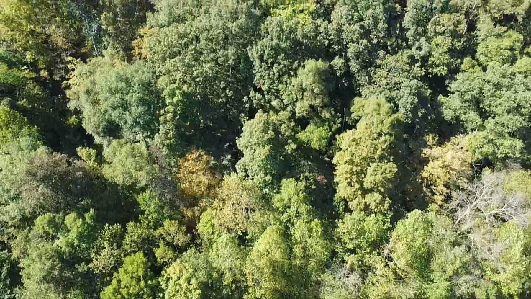 Image for 3 Lincoln County Properties Selling to the Highest Bidders