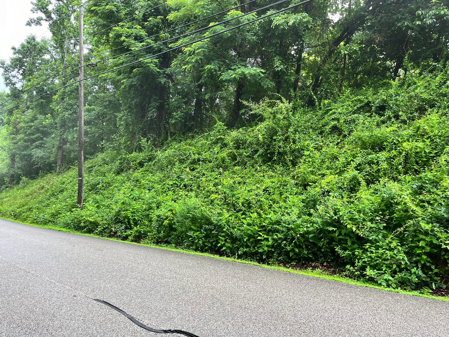 Image for 7 Kanawha County Properties Selling to the Highest Bidders