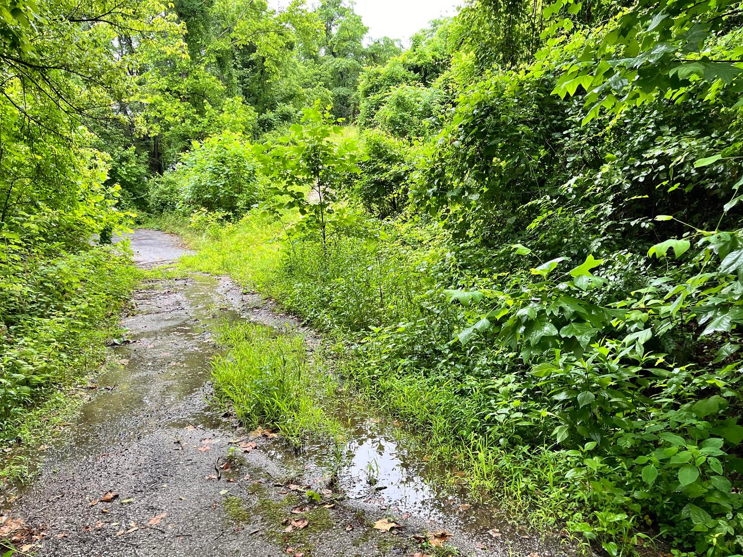 Image for 7 Kanawha County Properties Selling to the Highest Bidders