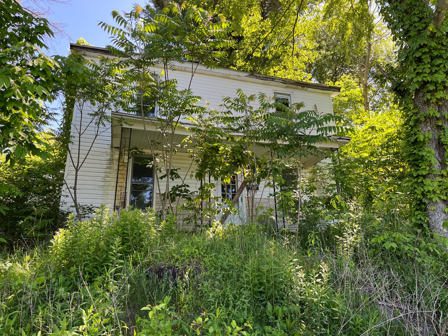 Image for SOLD - 3 Bedroom on Half an Acre in Terra Alta