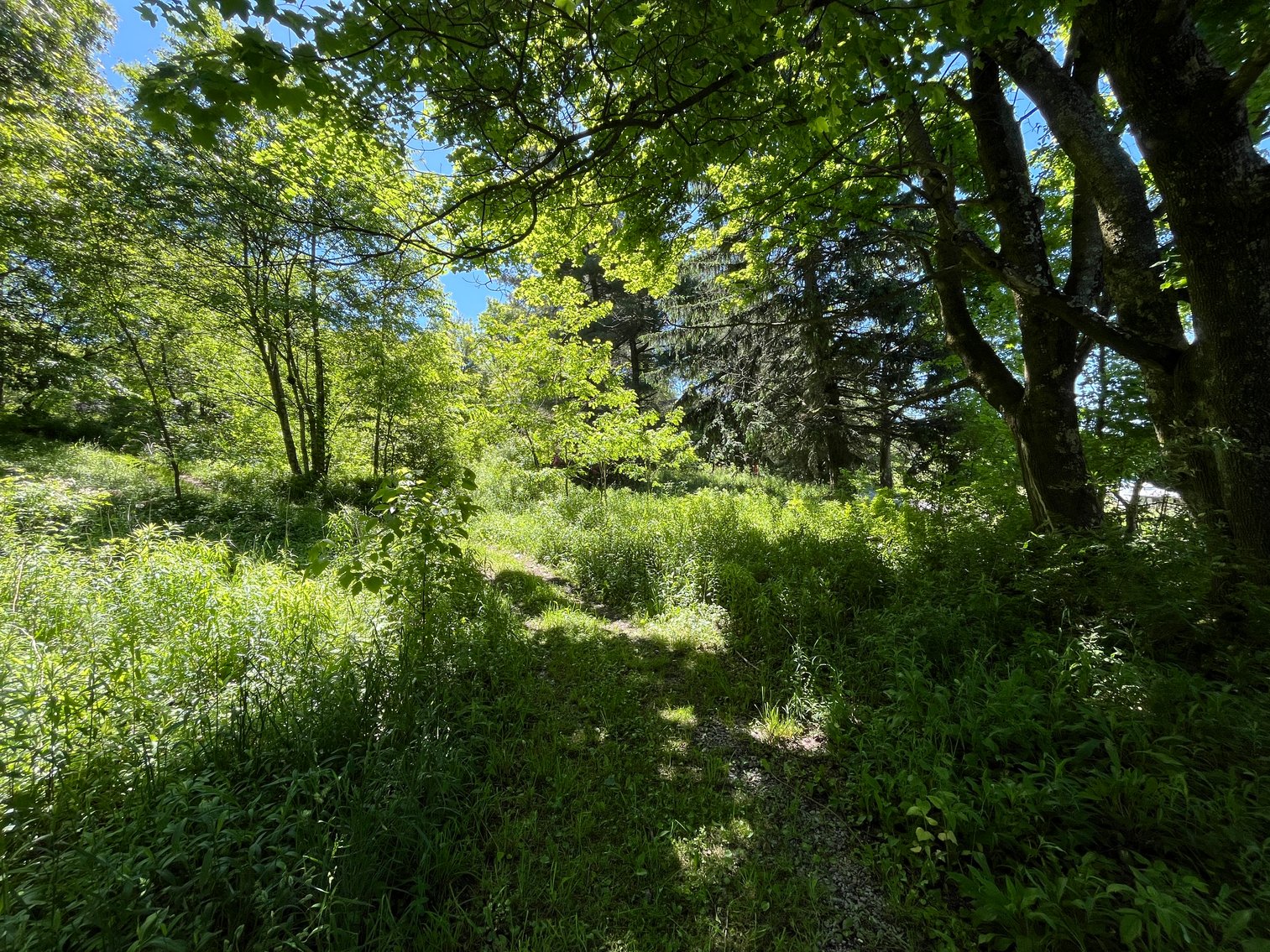 Image for SOLD - 3 Bedroom on Half an Acre in Terra Alta