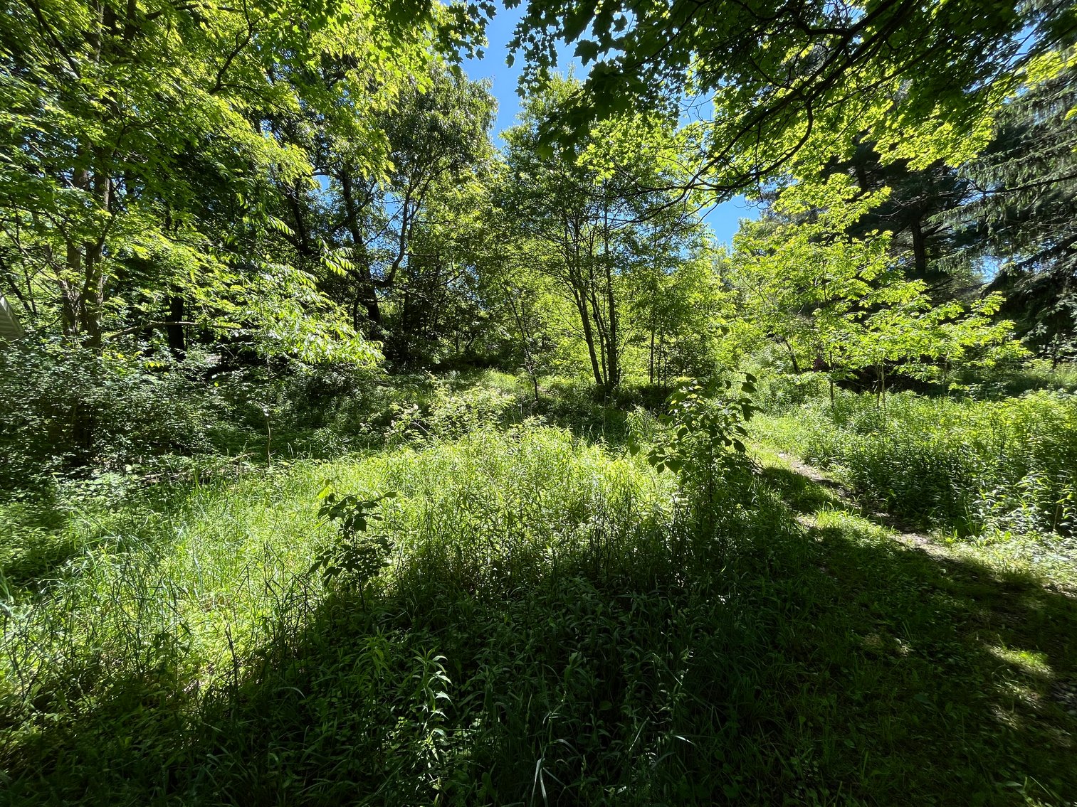 Image for SOLD - 3 Bedroom on Half an Acre in Terra Alta