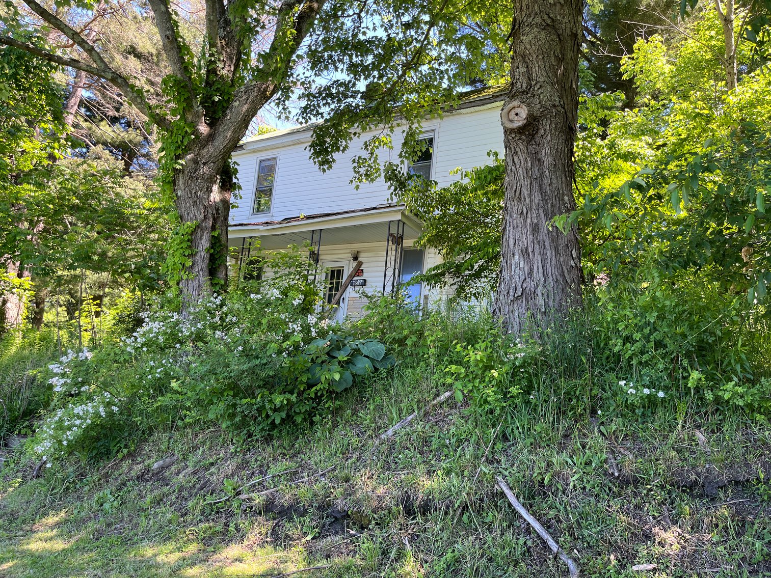 Image for SOLD - 3 Bedroom on Half an Acre in Terra Alta