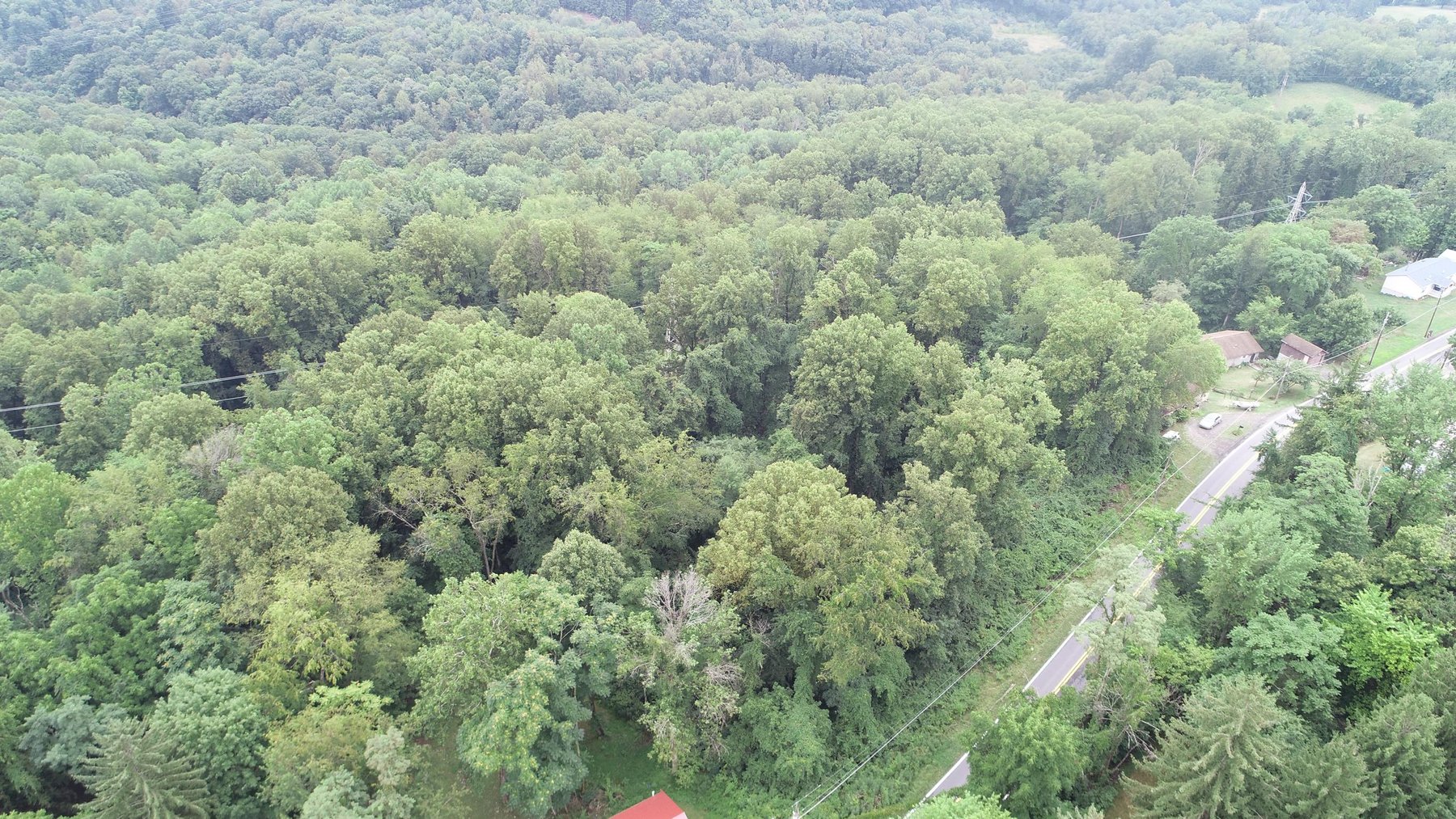 Image for SOLD $231,000 - 42 Acres Along Stewartstown Road near Cheat Lake